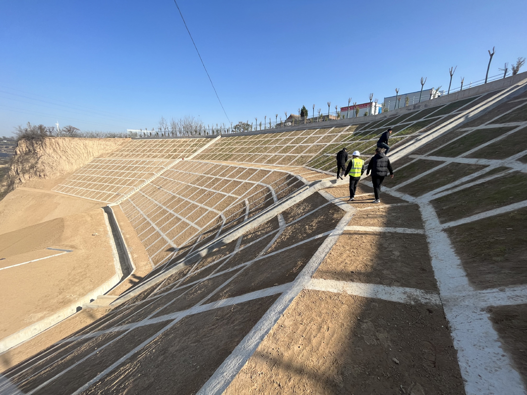 1702539224108332.jpg 2.jpg